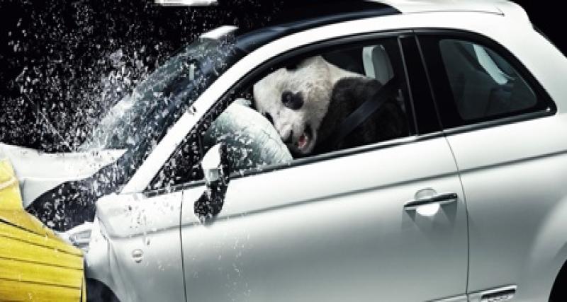  - Une Fiat, un Panda et un crash...
