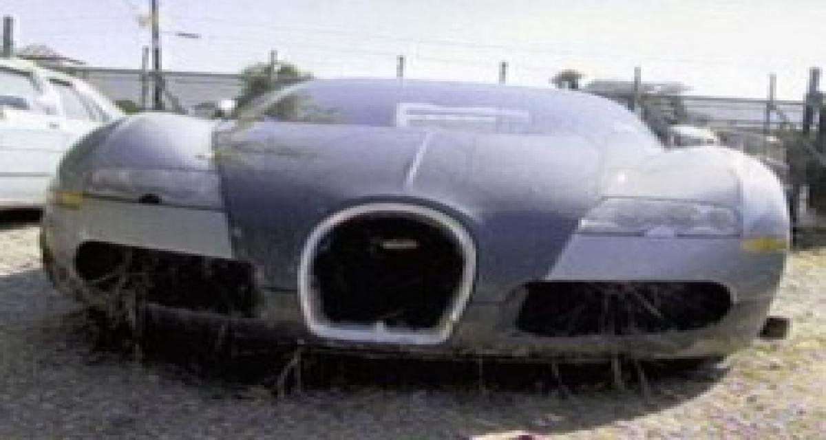 La Bugatti Veyron amphibie repêchée et au sec