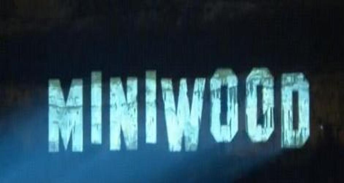 Miniwood : l'envers du décor
