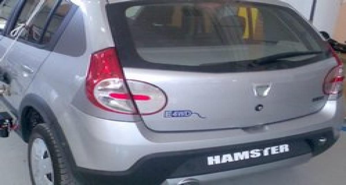 Dacia Hamster : Sandero Stepway électrique...