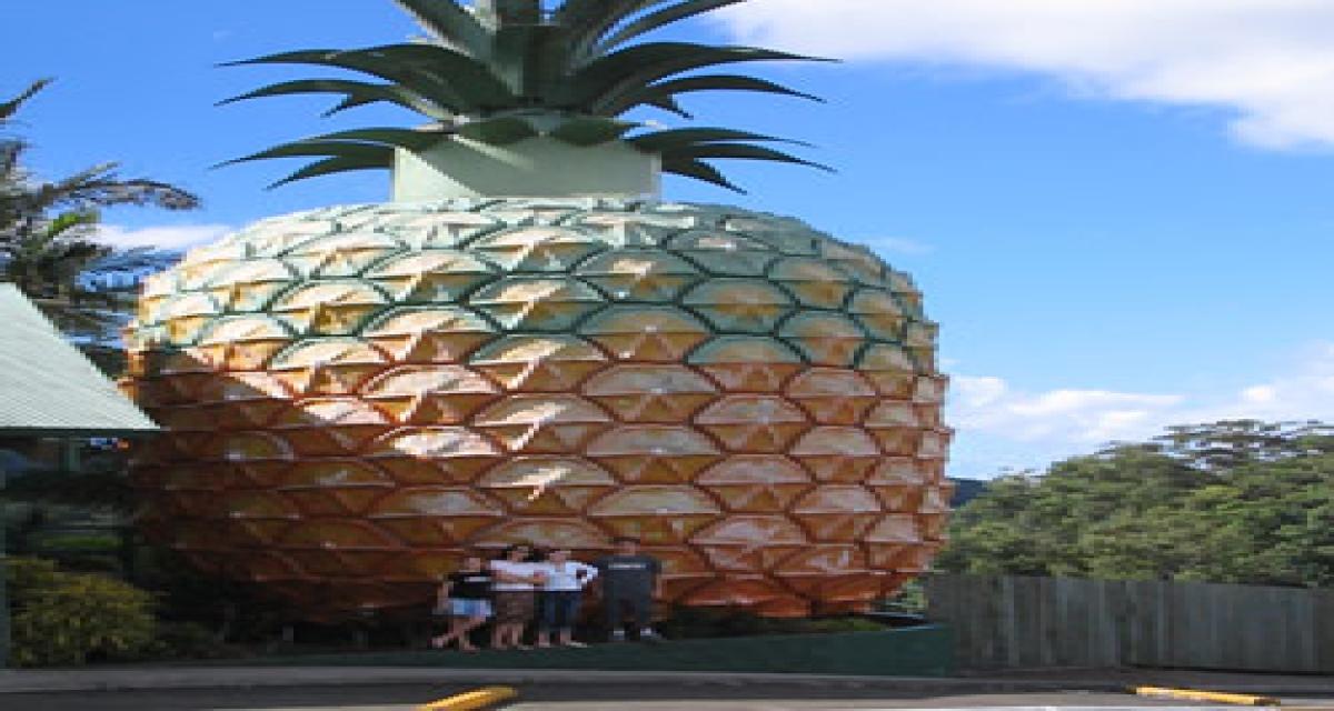 Australie : Le Big Pineapple va devenir un musée du sport auto