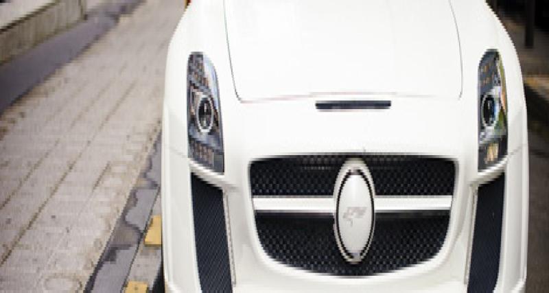 - La photo du jour: Mercedes SLS AMG Fab Design