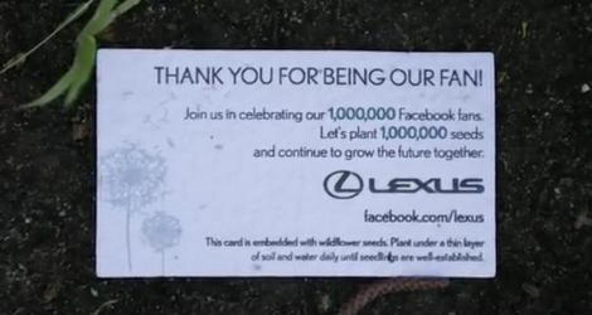 Lexus : un million de graines plus tard...