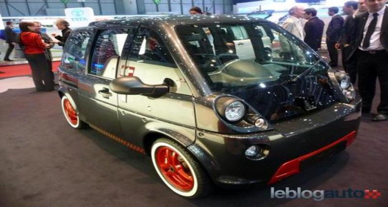  - Quelle est la voiture électrique la plus immatriculée en France ?