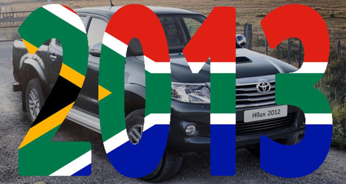 Bilan 2013 : Afrique du Sud