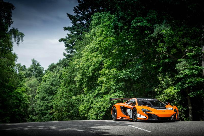 Goodwood 2014 : McLaren 650S GT3 1