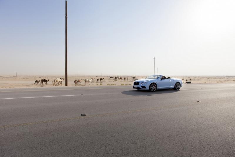  - Une Bentley Continental face au "train des dunes" 1