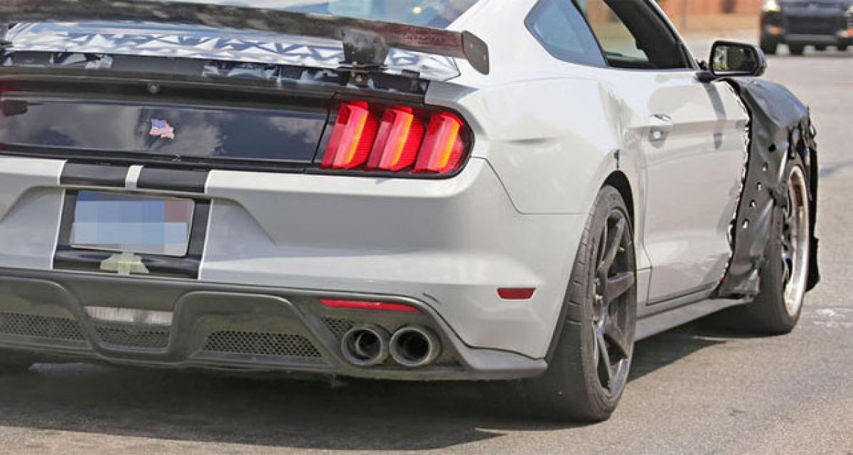 La future Ford Shelby GT500 Mustang pourrait développer 800 ch