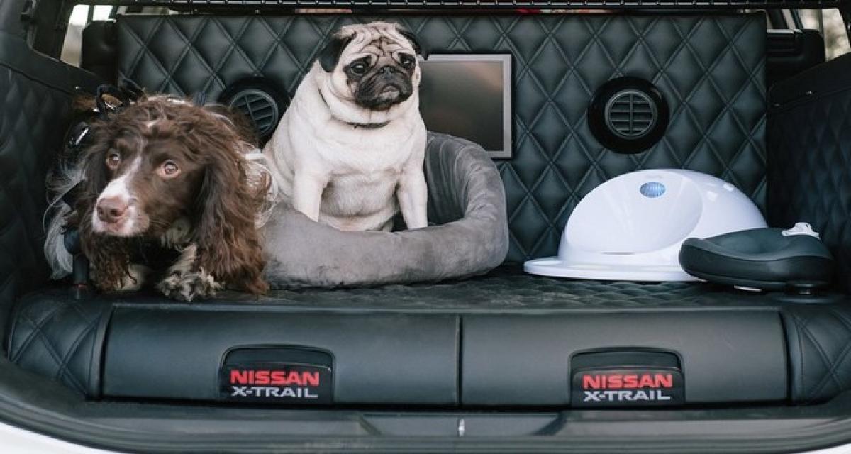  Nissan X-Trail 4Dogs le concepto 