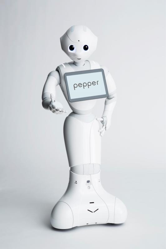  - Pepper, un robot d'accueil au sein du réseau Renault 1