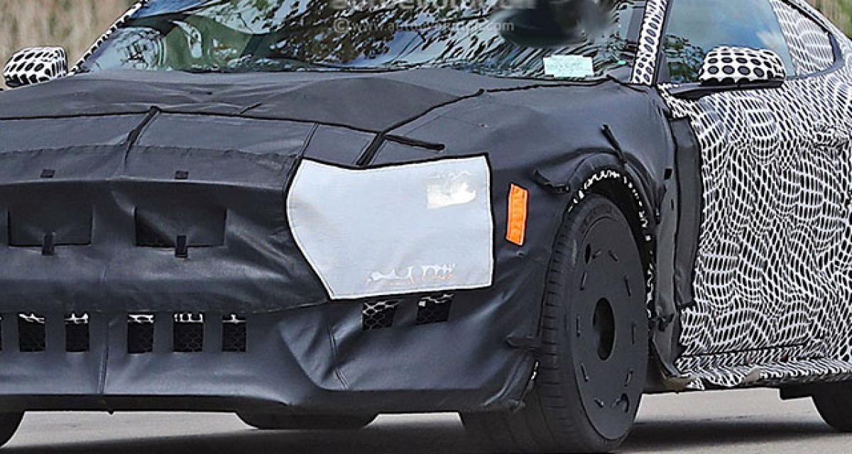 Spyshots : Ford Mustang Shelby GT500
