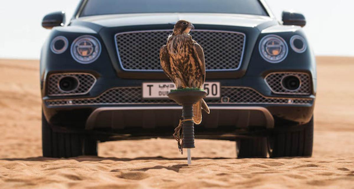 Bentley Bentayga Falconry par Mulliner