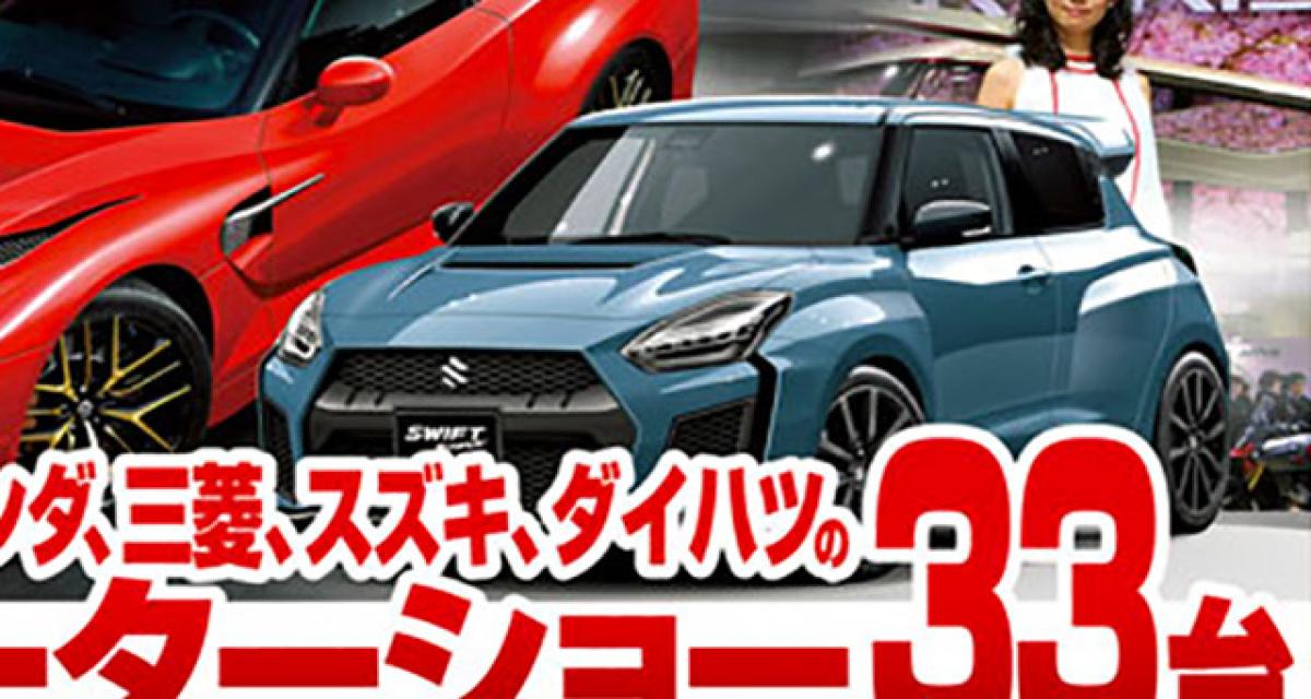 Une Suzuki Swift Sport Evolution en 2019 ?