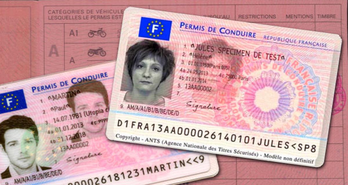 Perte ou vol du permis de conduire, que faire ?